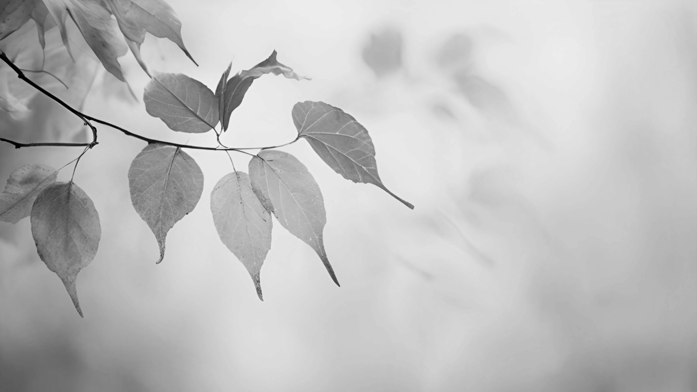 Ritual de Otoño: cómo soltar lo viejo y abrir espacio a lo nuevo